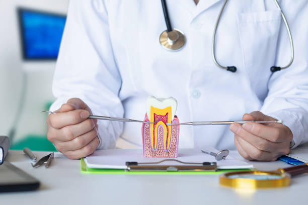 Best Dental Abscess Treatment in Idyllwild Pine Cove, CA